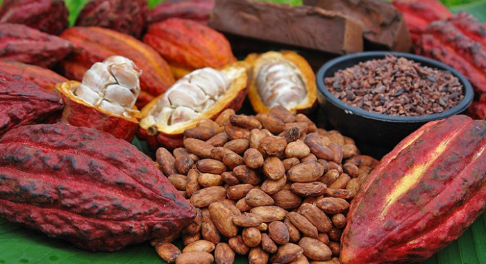 Ghana Cocoa