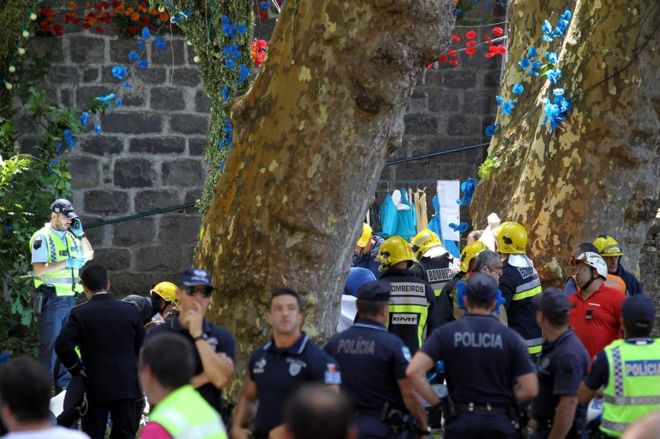 Falling tree kills 11 on Portuguese Island