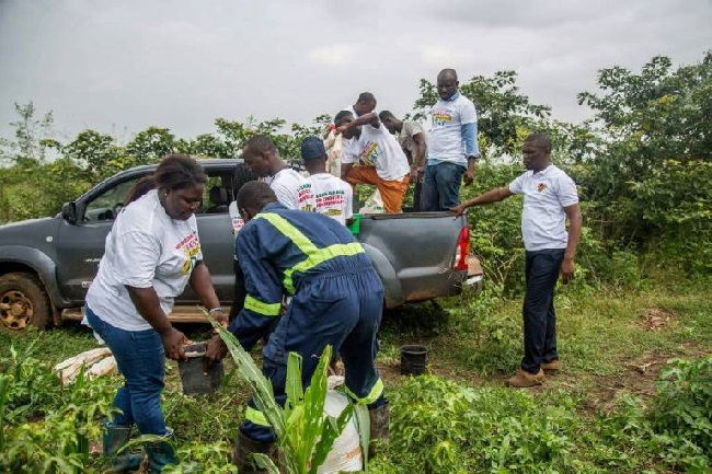 nss_farms_in_ghana