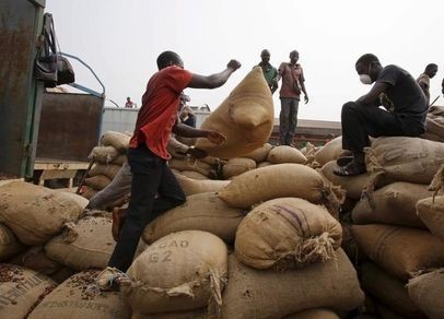 Cocoa farmers loading the bags