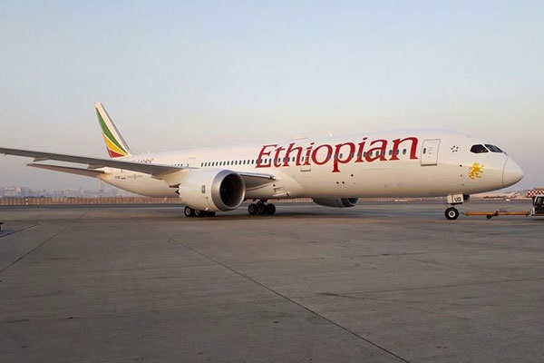 An Ethiopian Airlines plane. The carrier is seeking to set up hubs in southern Africa, Central Africa and the Horn. 
