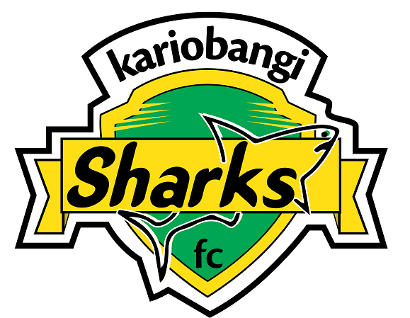 CAFCC: Kariobangi Sharks refute Kotoko' poor reception reports