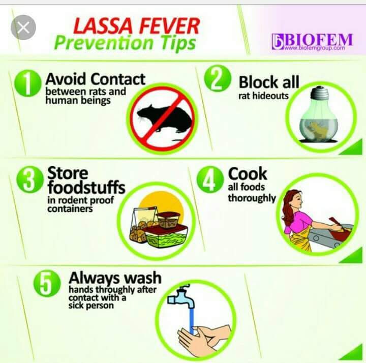 lassa_fever_outbreak_in_nigeria_has _claimed_31_lives_so_far
