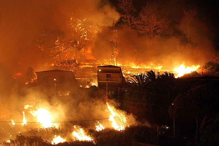 Wildfires kill at least 49 persons in Greece