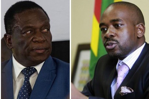 Zimbabwe elections: EC reports Mnangagwa and Chamisa over violations