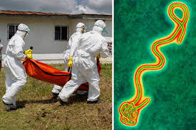 No Ebola outbreak in Ghana – MoH