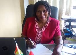 Gifty Akorsa Arthur, DCE for Nkoranza North