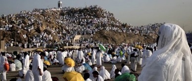 hajj_2019_auditor_general