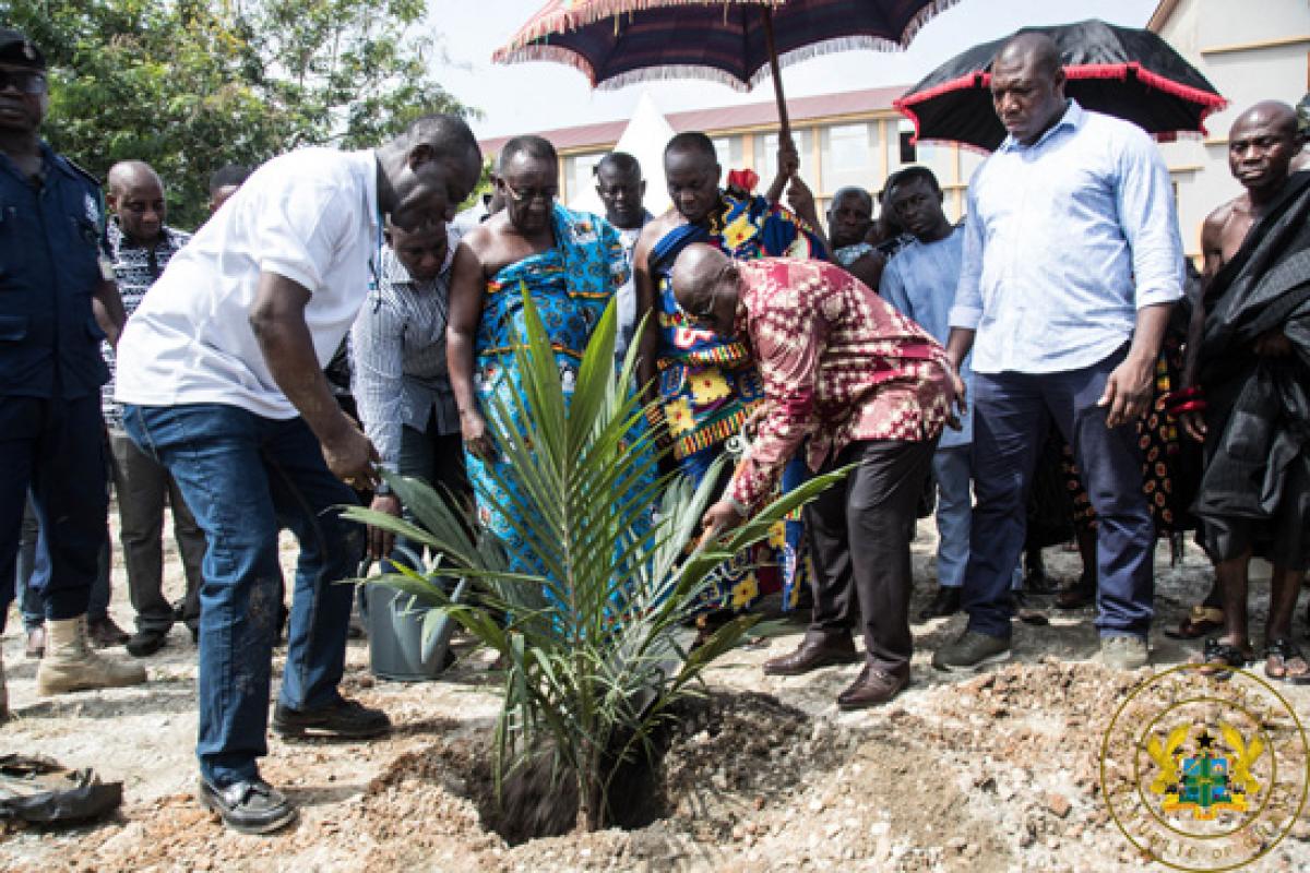 akufo-addo_planting