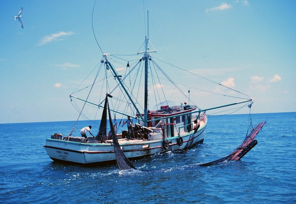 2 months closed season for Industrial fishing begins