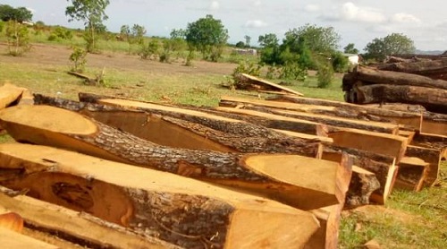 Rosewood trade in Ghana