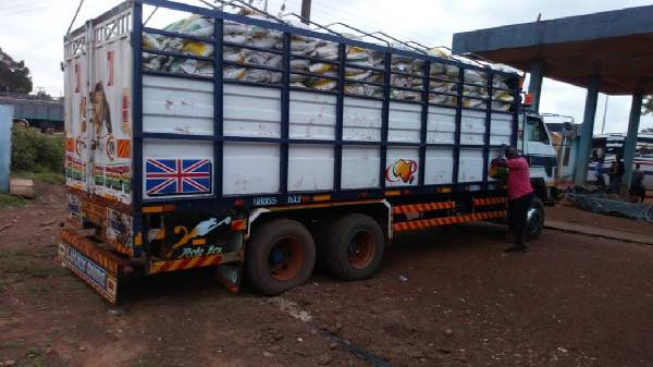 One of the two trucks with bags of smuggled fertilizers