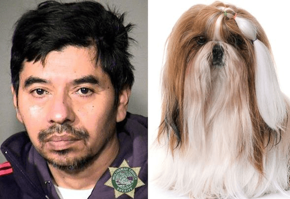 Man rapes dog out of anger after fiancee ignored his calls