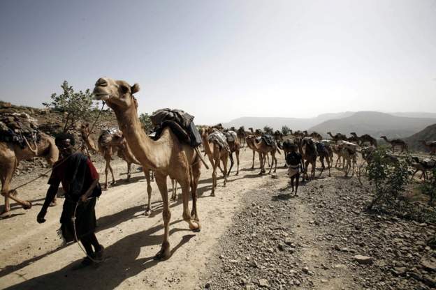 Kenyan village 'mourns death of 100 camels'