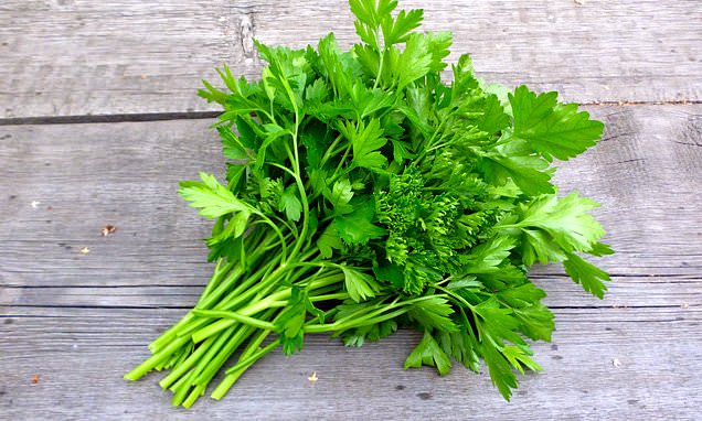 parsley