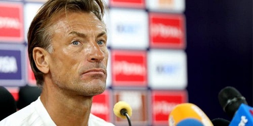 AFCON 2019: Herve Renard apologises for Benin defeat