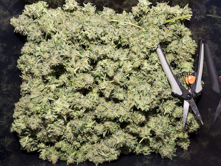 Colorado has made more than $1 billion from marijuana sales