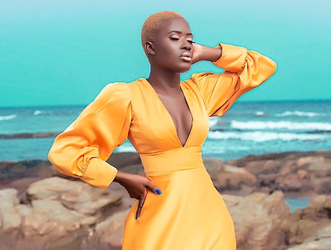 Fella Makafui injured on stage at Sowutuom Sallahfest '19