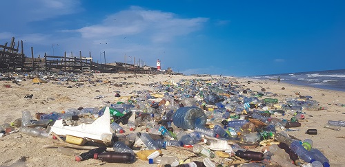 Plastics polluting the environment
