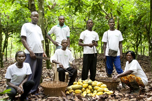 Cocoa farmers