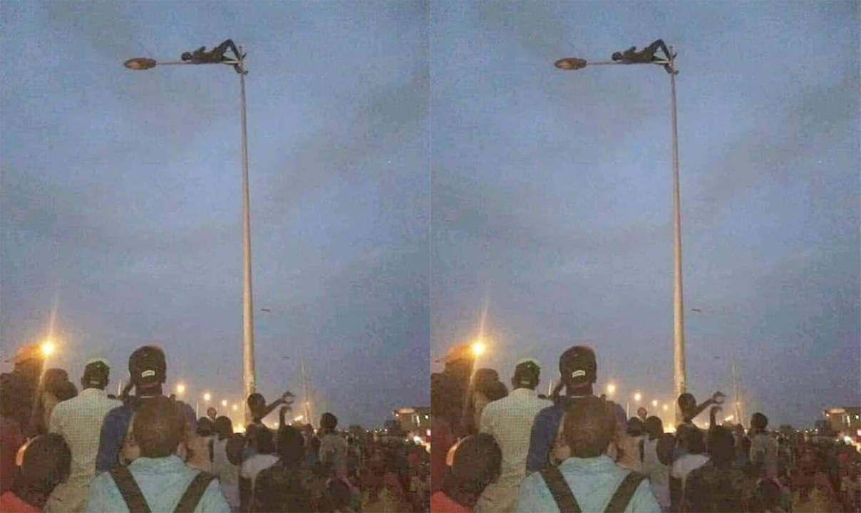 Robber climbs on top of a street light to avoid beatings