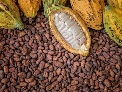 Cocoa juice factory inaugurated at Assin Akrofuom