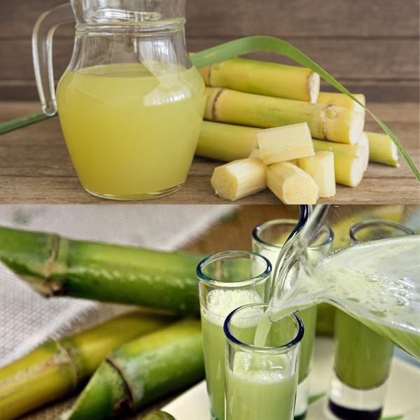 Sugarcane