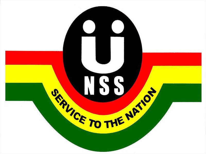 NSS logo