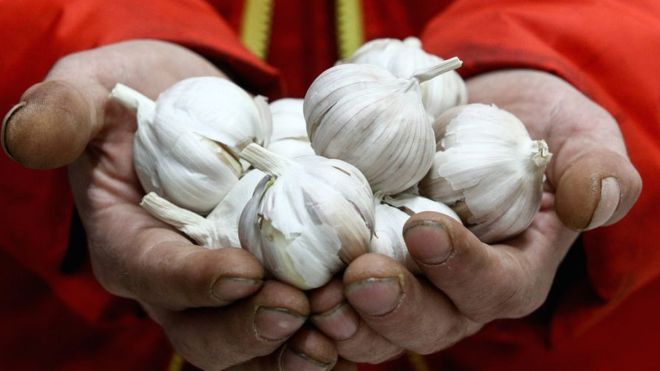 Garlic: It may be good for general health, but it won't stop the coronavirus