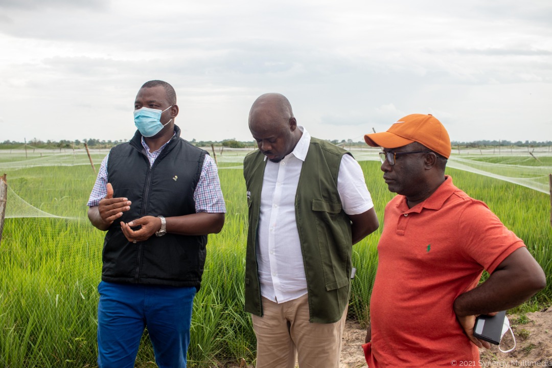 Bashiru Musah (in black jacket) on a farm visit with other agric sector stakeholders