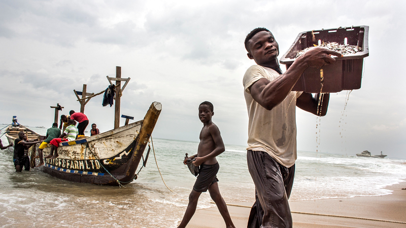 African countries must protect their fish stocks from the European Union - here’s how
