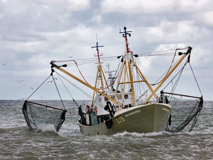 Licensed fishing vessels in Ghana unmasked as illegal Chinese fronts