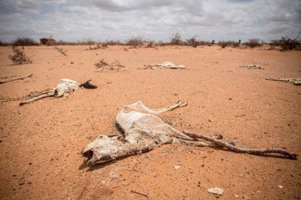 Somalia is facing the worst drought in a decade
