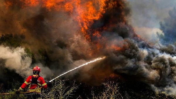 Baiao, Portugal: The fires in the north are Portugal's worst since 2017