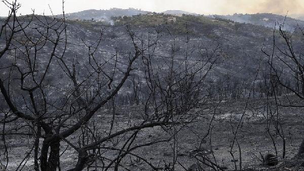 This image, dated 12 August 2022, shows the devastation caused by separate forest fires in Tizi Ouzou, northern Algeria