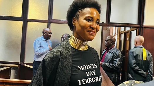 Duduzile Zuma-Sambudla's outfit at a preliminary hearing sought to ridicule the accusations against her