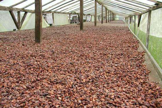 COCOBOD stopped supplying the company with beans.